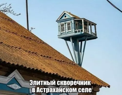 Смешная картинка №312365 Для VIP пташек?