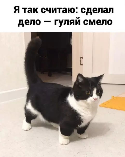 Смешная картинка №526377