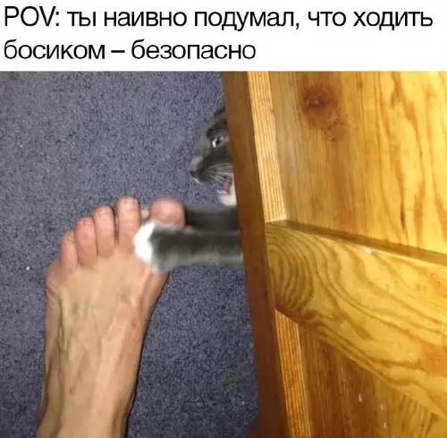 Смешная картинка №697856