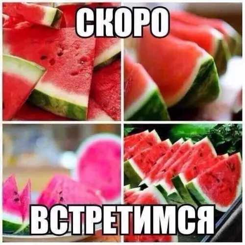 Смешная картинка №175602 арбуз