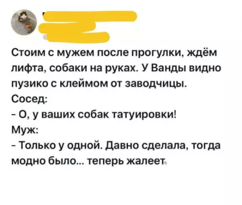 Когда муж решил потроллить соседа 😂🐕 - Стоим с мужем после прогулки, ждём лифта, собаки на руках.