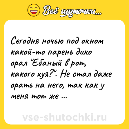 Шутка: Сегодня ночью под окном какой-то парень дико орал 