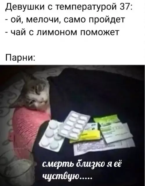 Смешная картинка №667027