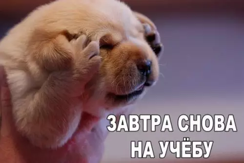 Смешная картинка №273723