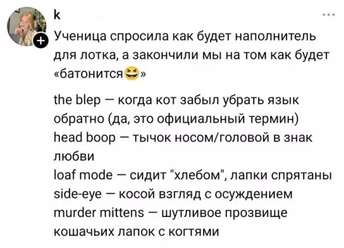 Кошачий словарик для продвинутых 🐾 - Ученица спросила как будет наполнитель для лотка, а закончили мы