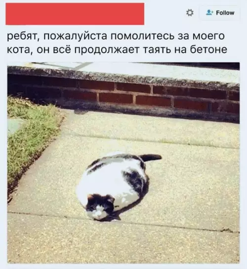 Смешная картинка №509190
