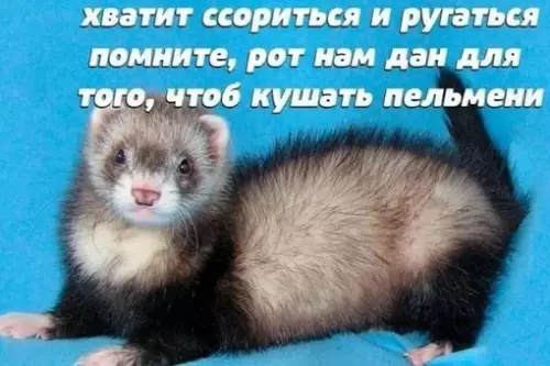 Смешная картинка №669392 Доброе утро