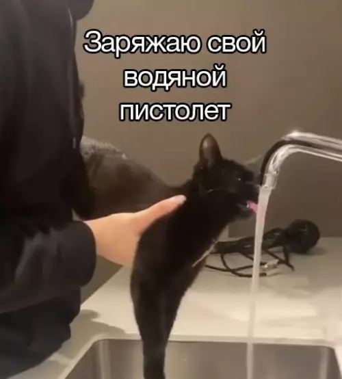 Смешная картинка №715605