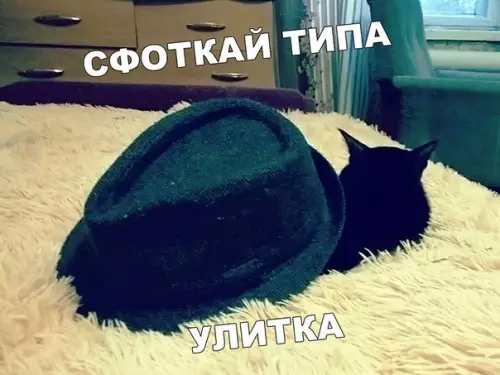 Смешная картинка №400328