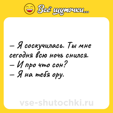 Шутка: — Я соскучилась. Ты мне сегодня всю ночь снился. <br>— И про что сон?<br>— Я на тебя ору.
