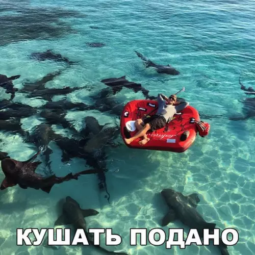 Смешная картинка №278496