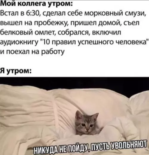 Смешная картинка №531186 работа