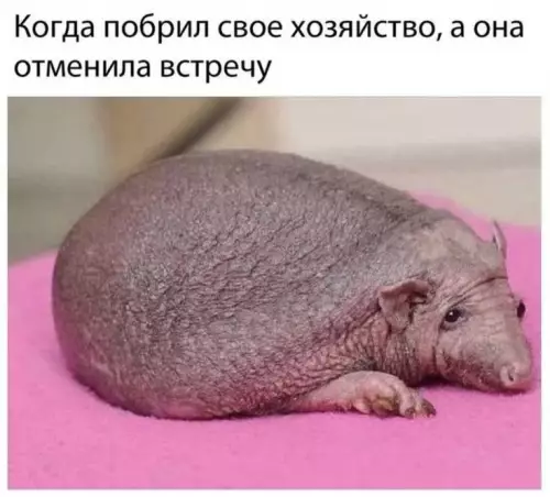 Смешная картинка №797735