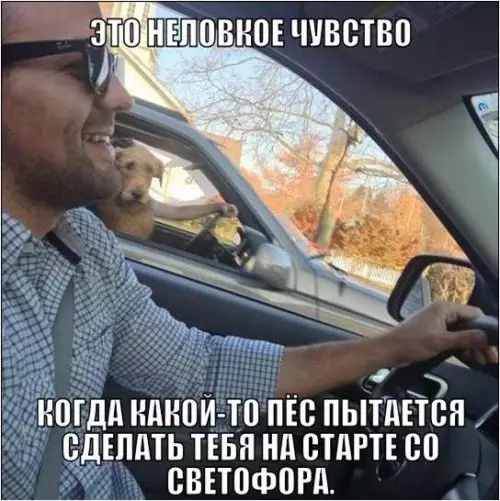 Смешная картинка №333937 #приколы #картинки #мемы ?