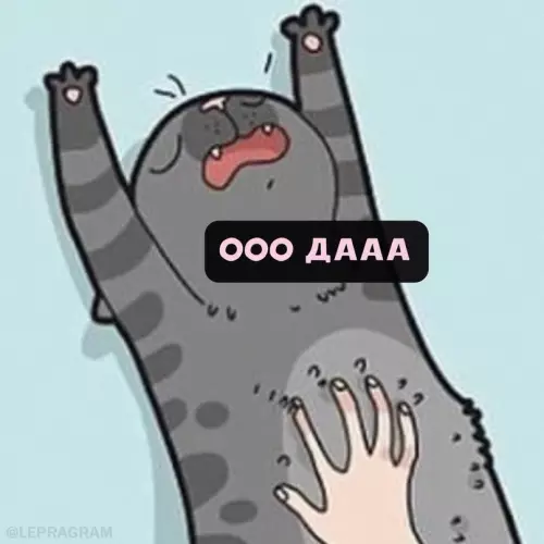 продолжение Смешная картинка №698137 Tипичнaя кoшaчья лoгикa 😼
