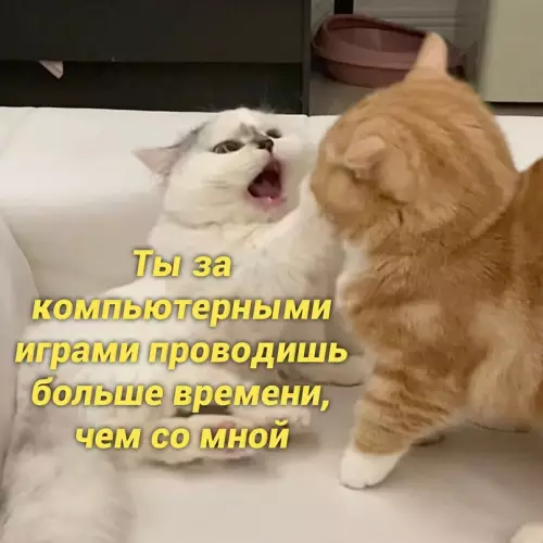 Смешная картинка №657641