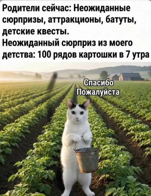 Картошка vs Аттракционы 🥔🤡 - Родители сейчас: Неожиданные сюрпризы, аттракционы, батуты, детские квесты. Неожиданный сюрприз