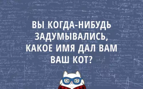 Смешная картинка №281367