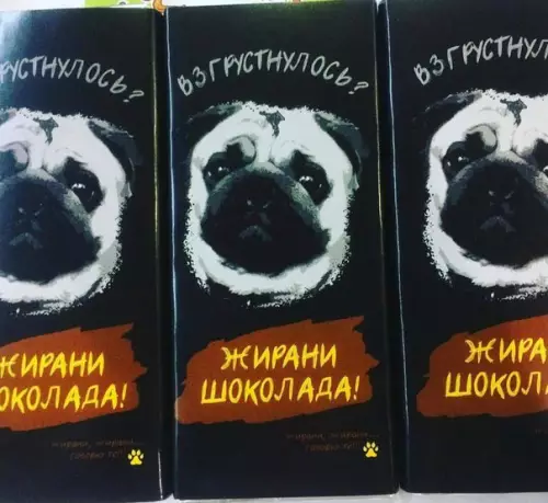 Смешная картинка №213571 Депрессия? Жирани!