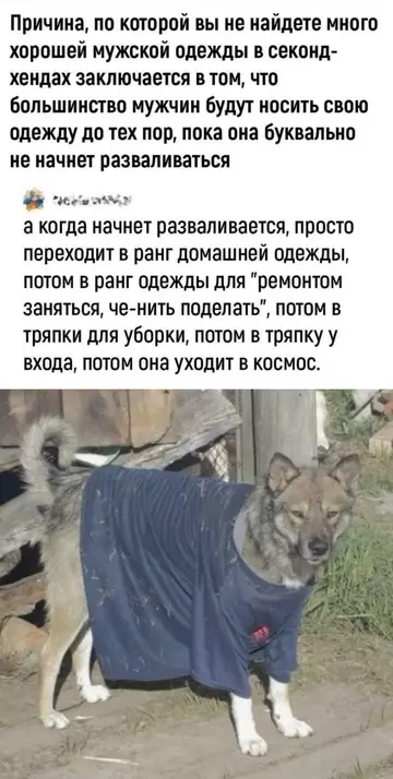 Смешная картинка №745812