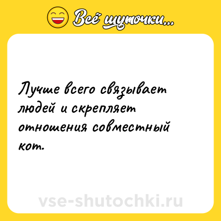 Шутка: Лучше всего связывает людей и скрепляет отношения совместный кот.
