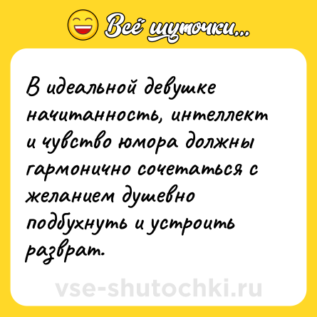 Шутка: В идеальной девушке начитанность, интеллект и чувство юмора должны гармонично сочетаться с желанием душевно подбухнуть и устроить разврат.