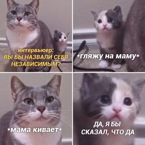 Смешная картинка №436805 Cаша, 21 годик