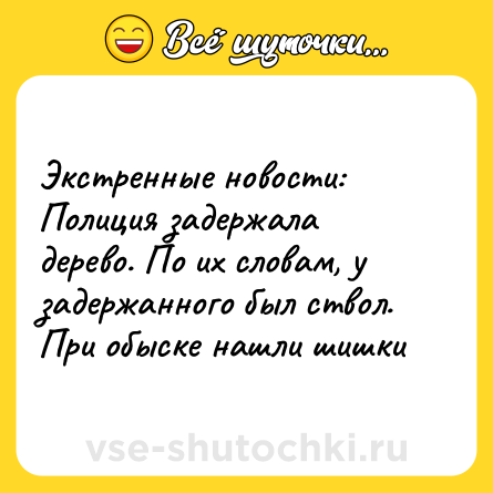 Шутка: Экстренные новости:<br>Полиция задержала дерево. По их словам, у задержанного был ствол. При обыске нашли шишки