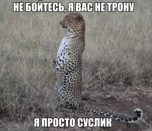 Смешная картинка №361708 #приколы #картинки #мемы ?