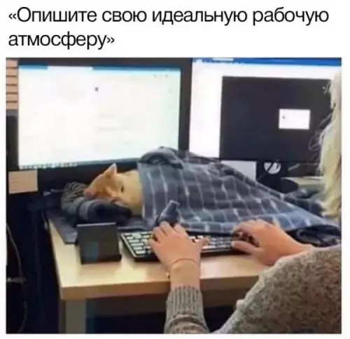 Смешная картинка №657345