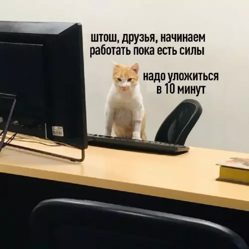 Смешная картинка №671234
