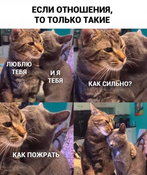 Смешная картинка №475247 Лучше пожрать