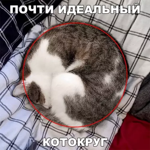 Смешная картинка №223110