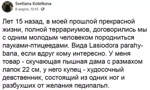 Смешная картинка №559149