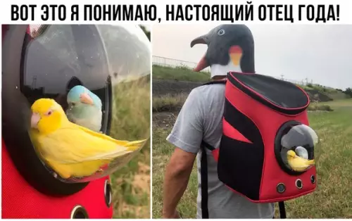 Смешная картинка №294264
