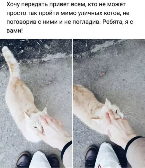 Смешная картинка №254085