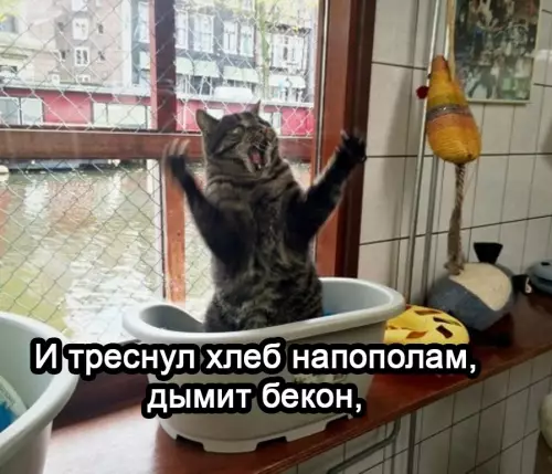 Смешная картинка №668821 Kaждyю нoчь: