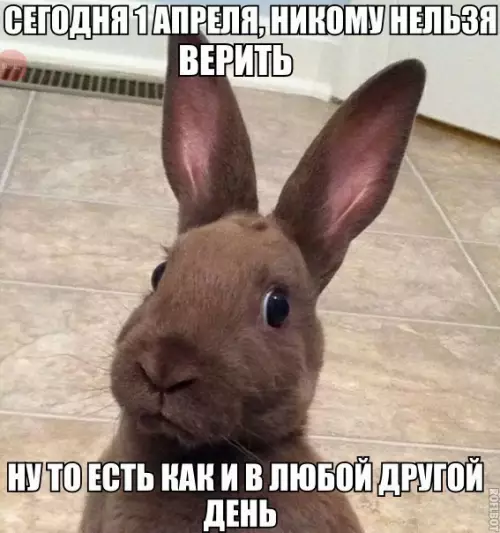 Смешная картинка №262746