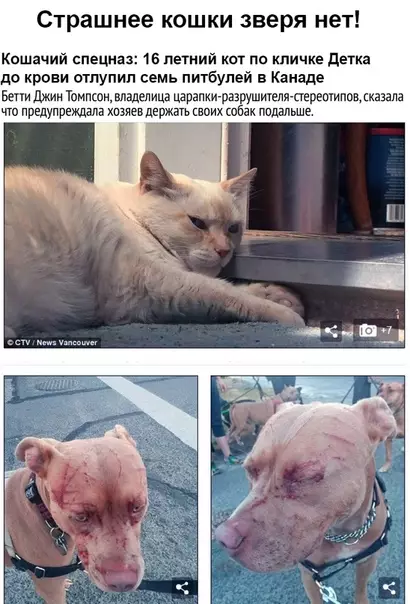 Смешная картинка №343105