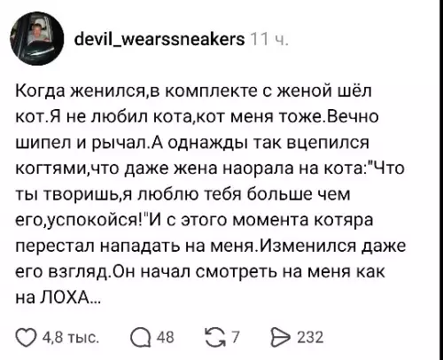 Битва за авторитет: Кот против Мужа 😼 - Когда женился,в комплекте с женой шёл кот.Я не любил кота,кот