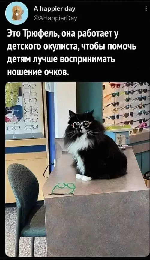 Смешная картинка №779879