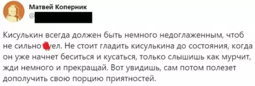 Смешная картинка №537148