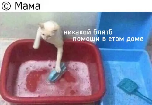 Смешная картинка №270557