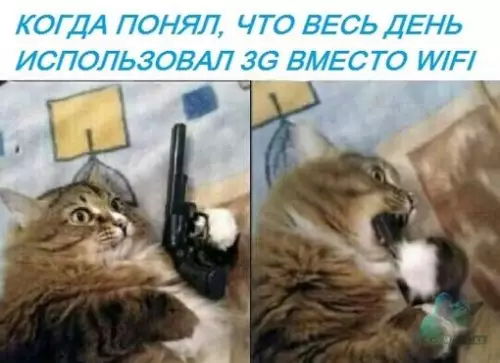 Смешная картинка №313150