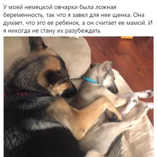 Смешная картинка №495780 Такие дела
