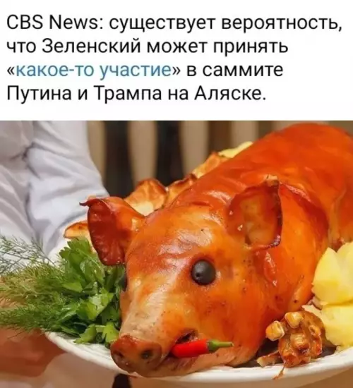 Смешная картинка №779698 Полноправный участник