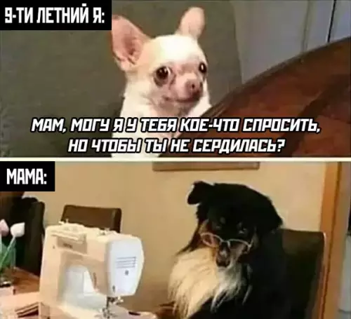Смешная картинка №490533 дети, собаки