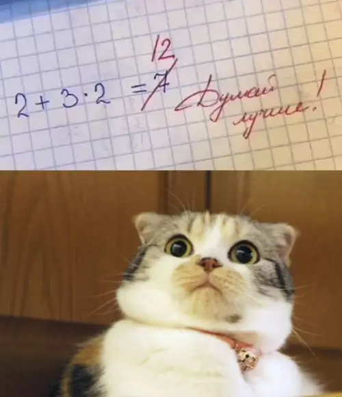 Смешная картинка №542751