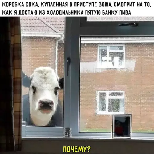 Смешная картинка №673827