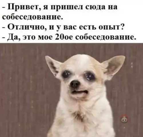 Смешная картинка №541142 Ахахаха ?